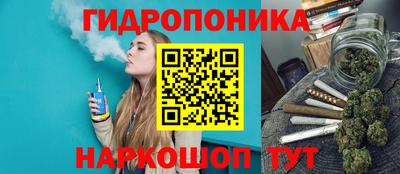 PSILOCYBIN Сланцы