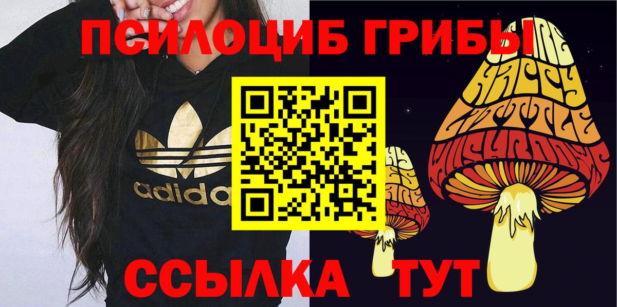 Псилоцибиновые грибы Psilocybe  Галлюциногенные грибы ЛСД  Вход с VPN  Павлово 