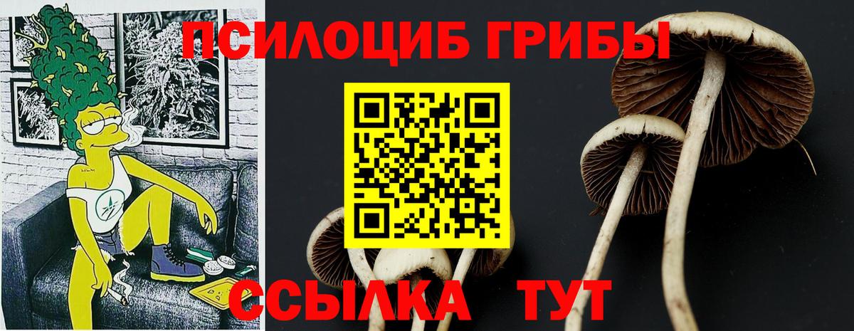 Галлюциногенные грибы Magic Shrooms Павлово